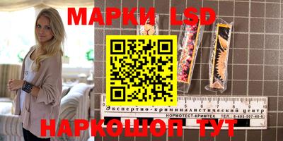 стаф Будённовск