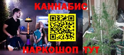 стаф Будённовск