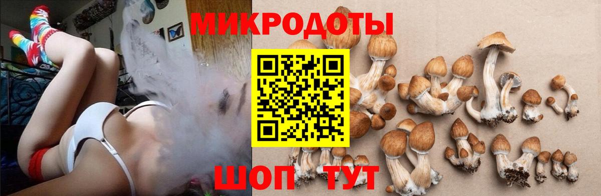 Лысьва  Псилоцибиновые грибы Psilocybine cubensis  Вход с VPN  Галлюциногенные грибы MAGIC MUSHROOMS 
